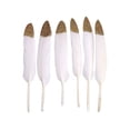 thumbnail image 1 of Xihbxyly Los Artículos Más Vendidos 50 Piezas de Materiales y Manuales con Plumas Estampadas En Caliente, Pendientes Atrapasueños, Accesorios Diy, 1 of 2
