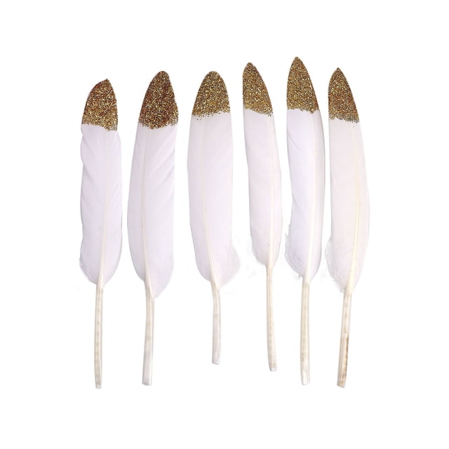 EGNMCR Dreamcatcher 50 Pcs Plumes de Marquage à Chaud Matériaux d'Artisanat Boucles d'Oreilles Accessoires DIY The simulation feathers