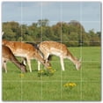thumbnail image 1 of Picture-Tiles.com: Deer Ceramic Tile Wall Mural WAL500435-55L. 40"W x 40"H using (25) 8" x 8" Ceramic Tiles-Satin Finish, 1 of 3