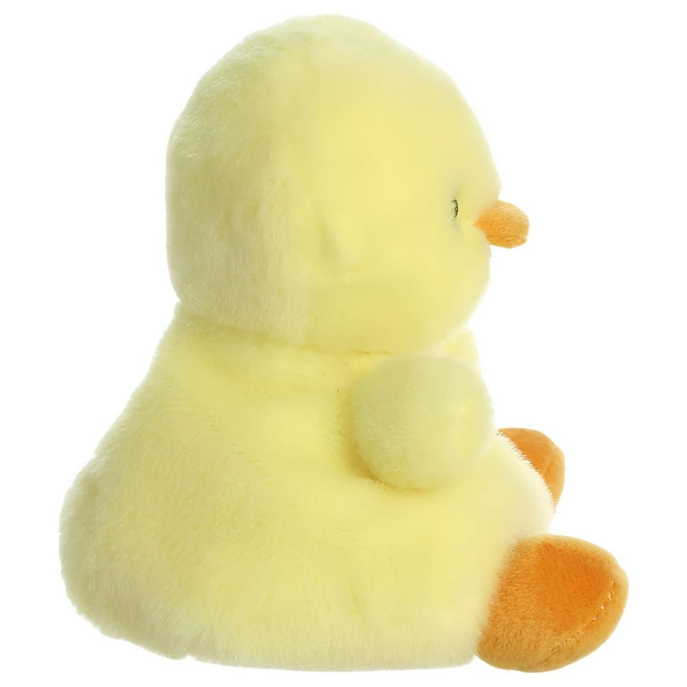 5 5