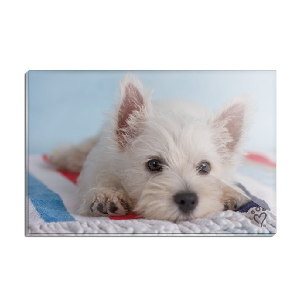 Westie/West Highland White Terrier Magnet for all Westie Lover 