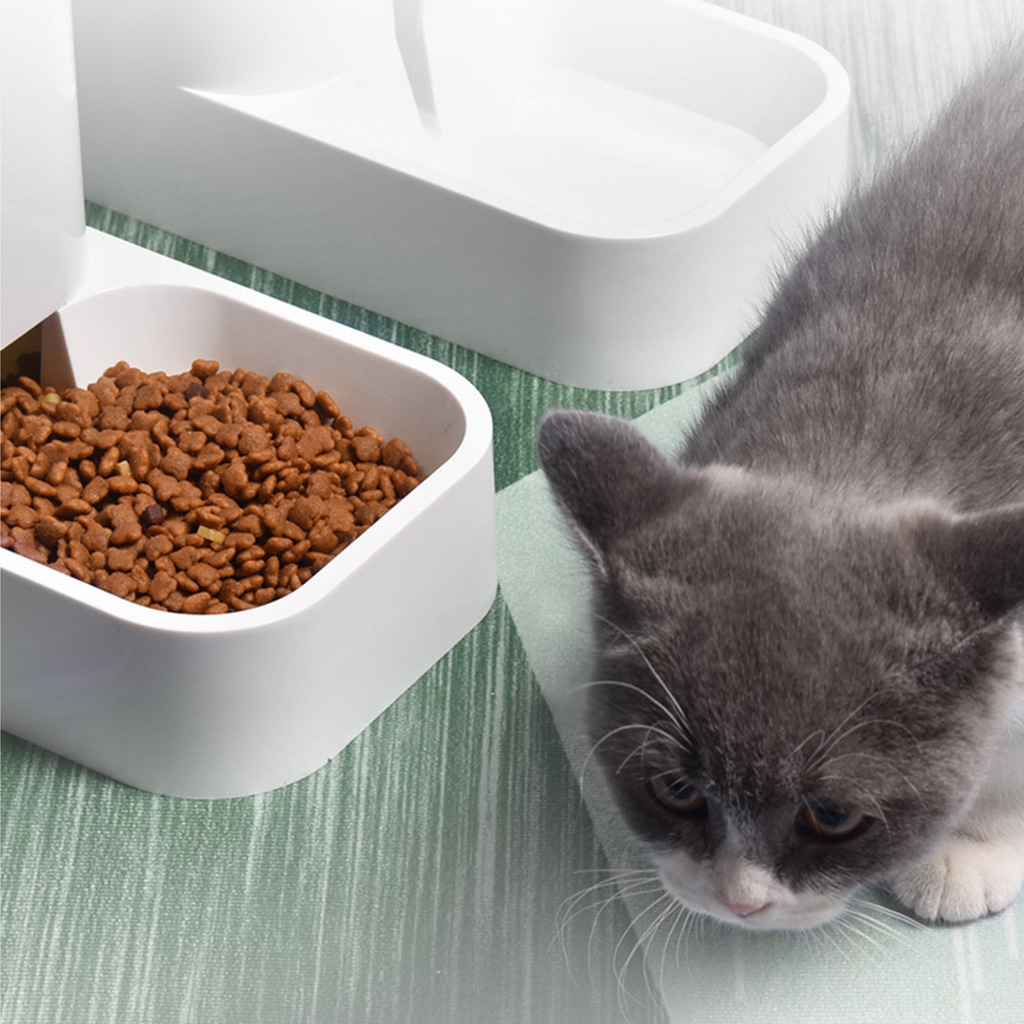 Dog for Cat Automatic Feeder Safety Water Drinker Food Dispenser Puppy Kitten Feeding Bowl Pet Supplies