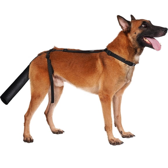 2 Pieces Dog Tail Protector Cover for Wounds, Dogs Tails Heal Sleeve, Dog Wound Care for Medium and Large Dogs to Assist in Recovery from Injury, Tail Size（M）
