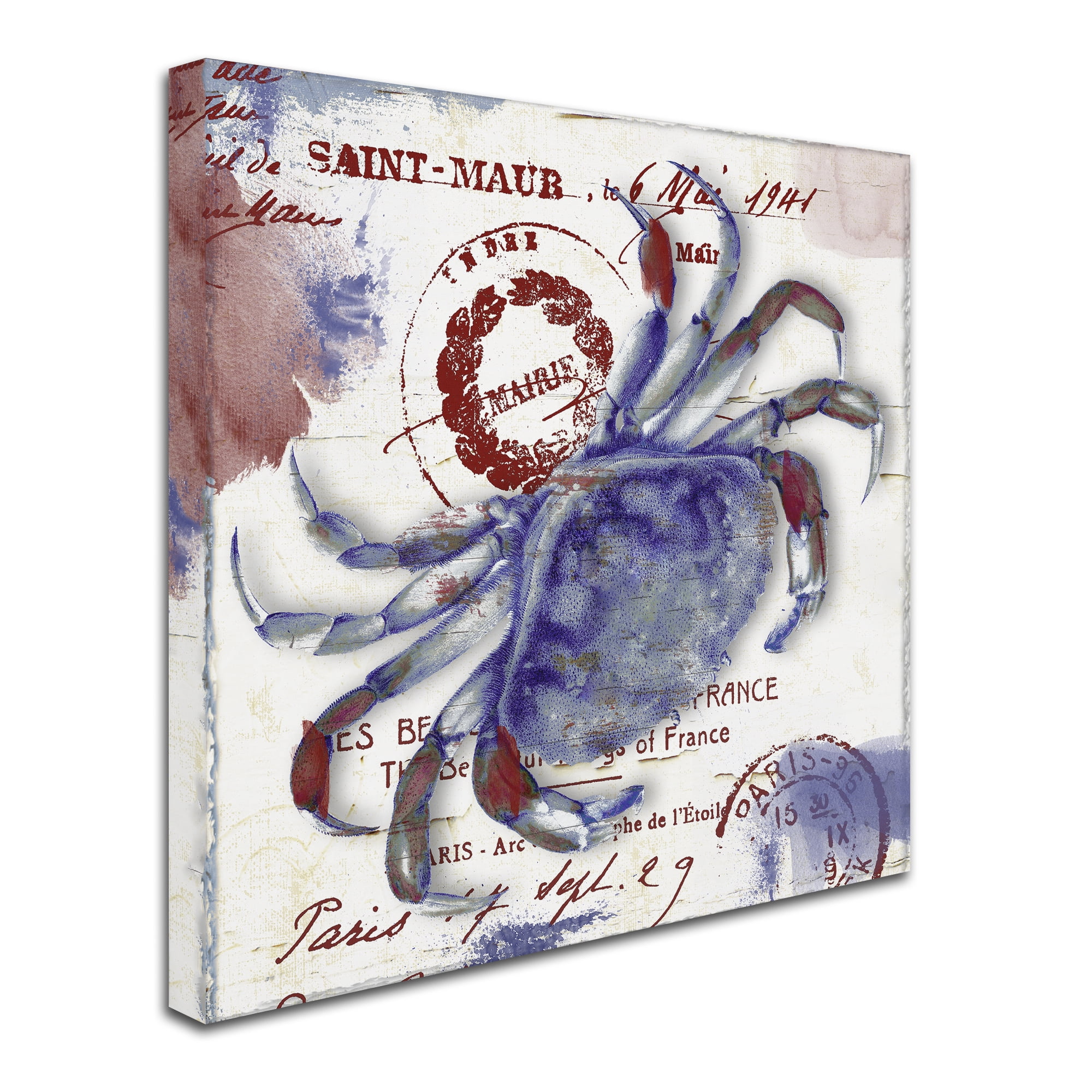 Trademark Fine Art "Oceania I" Canvas Art by Color Bakery