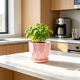 thumbnail image 4 of PEONAVET Plastic Planters for Indoor Plants 5.5" Round Plant Pot with Drainage Holes and Trays for Home Garden Decor(Pink), 4 of 6