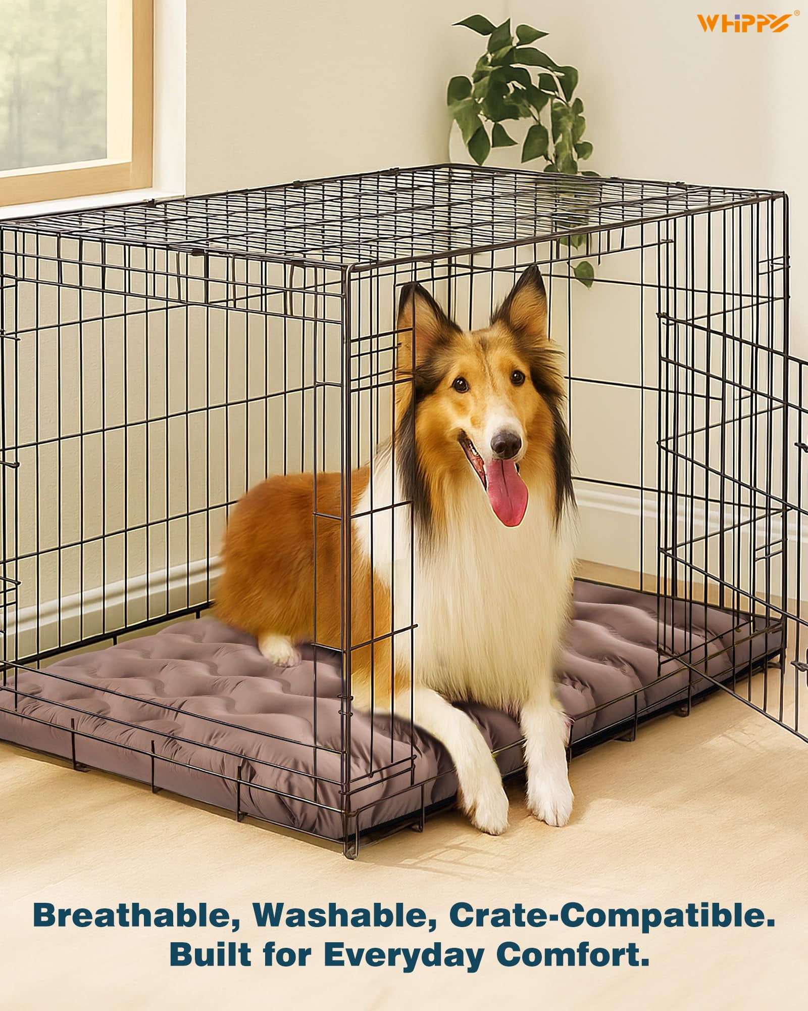 Orthopedic Dog Bed for Large Medium Small Dogs Waterproof Memory Foam Dog Crate Bed Washable Pet Bed with Removeable Cover, 30"x20", Beige