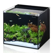 PONDON 5 Gallon Fish Tank, Low Iron Rimless Glass Aquarium Starter Kits with Backpack Partitioned Filtration, No Installation Required Betta Fish Tank with Leveling Mat for Beginners and Enthusiasts