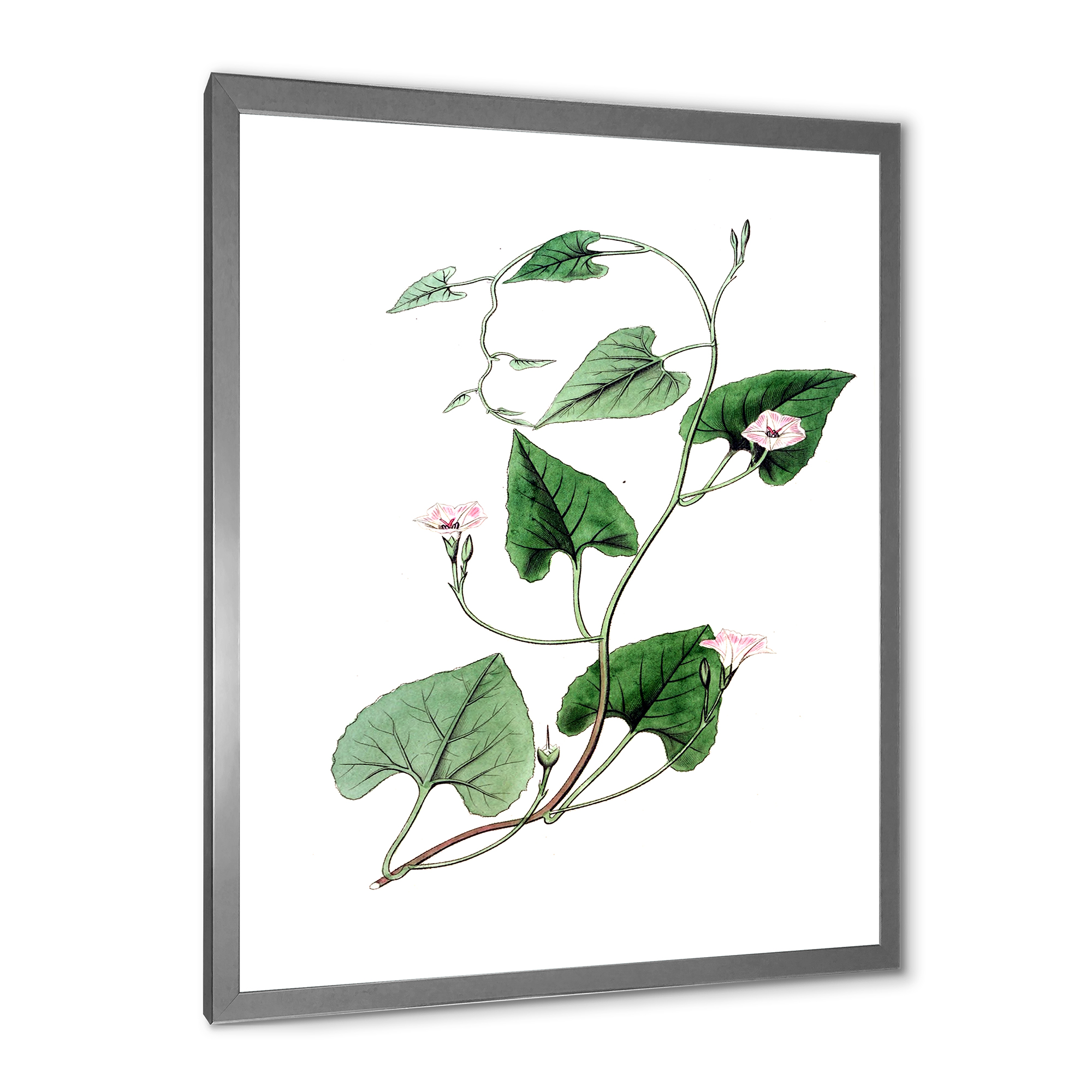 Designart 'Ancient Green Leaves Plants IX' Traditional Framed Art Print
