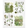 thumbnail image 4 of Set de 100 unidades de flores secas prensadas y resinadas, hojas verdes, 4 of 8