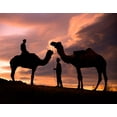 thumbnail image 2 of SMO 14x12 White Modern Wood Framed Museum Art Print Titled - Young men and camels at sunset in the Rajasthan desert-Pushkar-India, 2 of 4