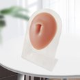 thumbnail image 4 of Modelos de partes del cuerpo Modedo práctico de silicona Delicado sin burbujas para herramienta de demostración de enseñanza de oficina con soporte Sunnimix Modelado de partes del cuerpo humano, 4 of 8