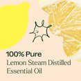 thumbnail image 5 of Plant Therapy Lemon Steam Distilled Essential Oil 10 mL (1/3 oz) 100% Pure, Undiluted, Natural Aromatherapy, 5 of 8