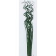 thumbnail image 1 of GreenFloralCrafts Dried Floral Filler Extra Tall Curly Ting-Ting 3.5 ft Tall, Pack of 35-40 pcs, 1 of 1