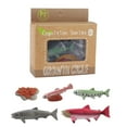 thumbnail image 1 of Salmon Growth Cycle, Animal Growth Cycle Biological Model, Growth Stage Lifelike Salmon Life Cycle Model Set for Kids Education Insect Themed Party Favors, 1 of 7