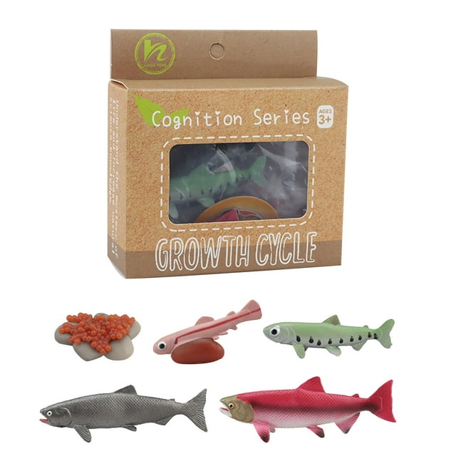 Salmon Growth Cycle, Animal Growth Cycle Biological Model, Growth Stage Lifelike Salmon Life Cycle Model Set for Kids Education Insect Themed Party Favors