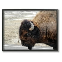 The Stupell Home Decor Collection Beautiful Buffalo Photography Wall Art
