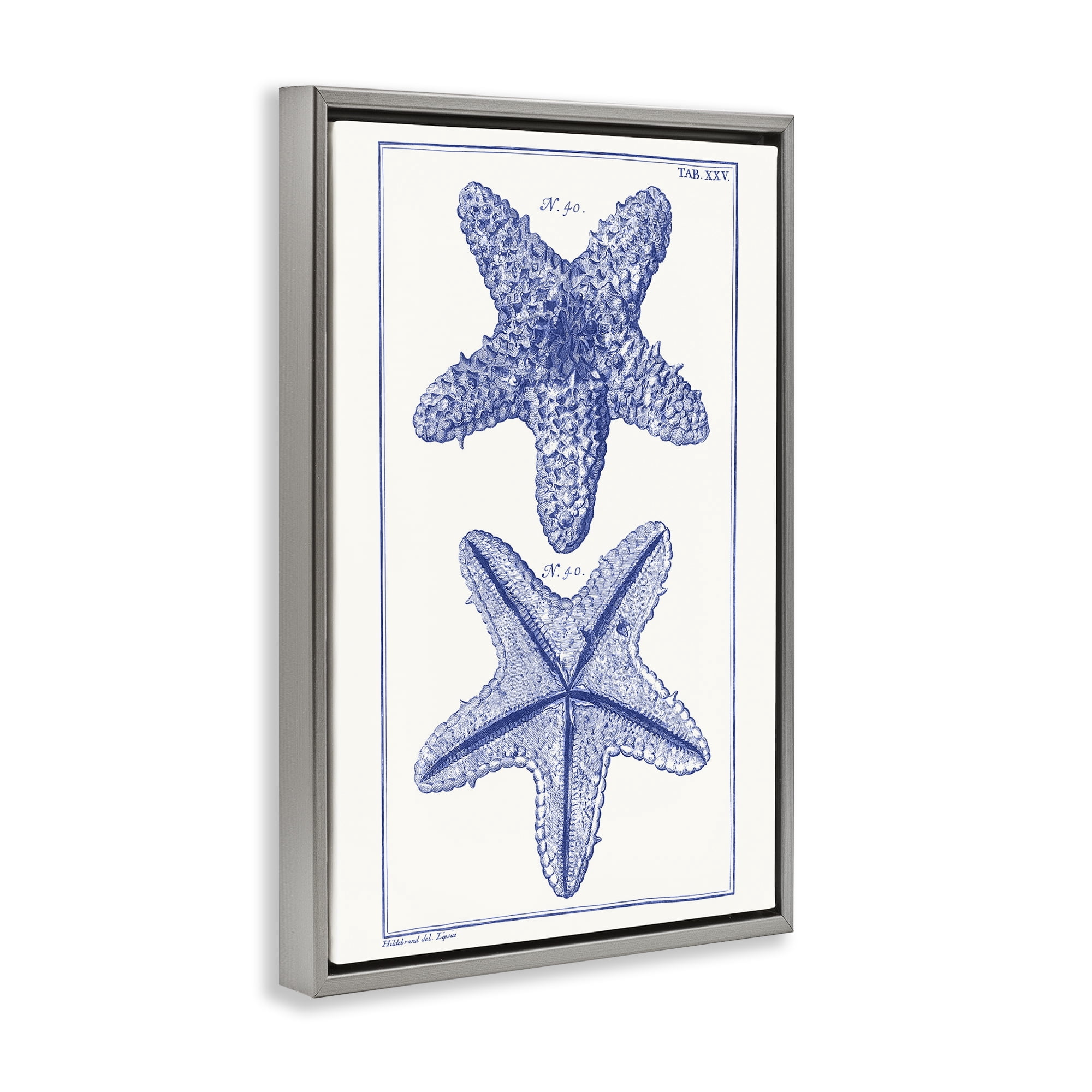 Stupell Industries Blue Starfish Studies Animals & Insects Painting Gray Floater Framed Canvas Art Print Wall Art, 17 x 25