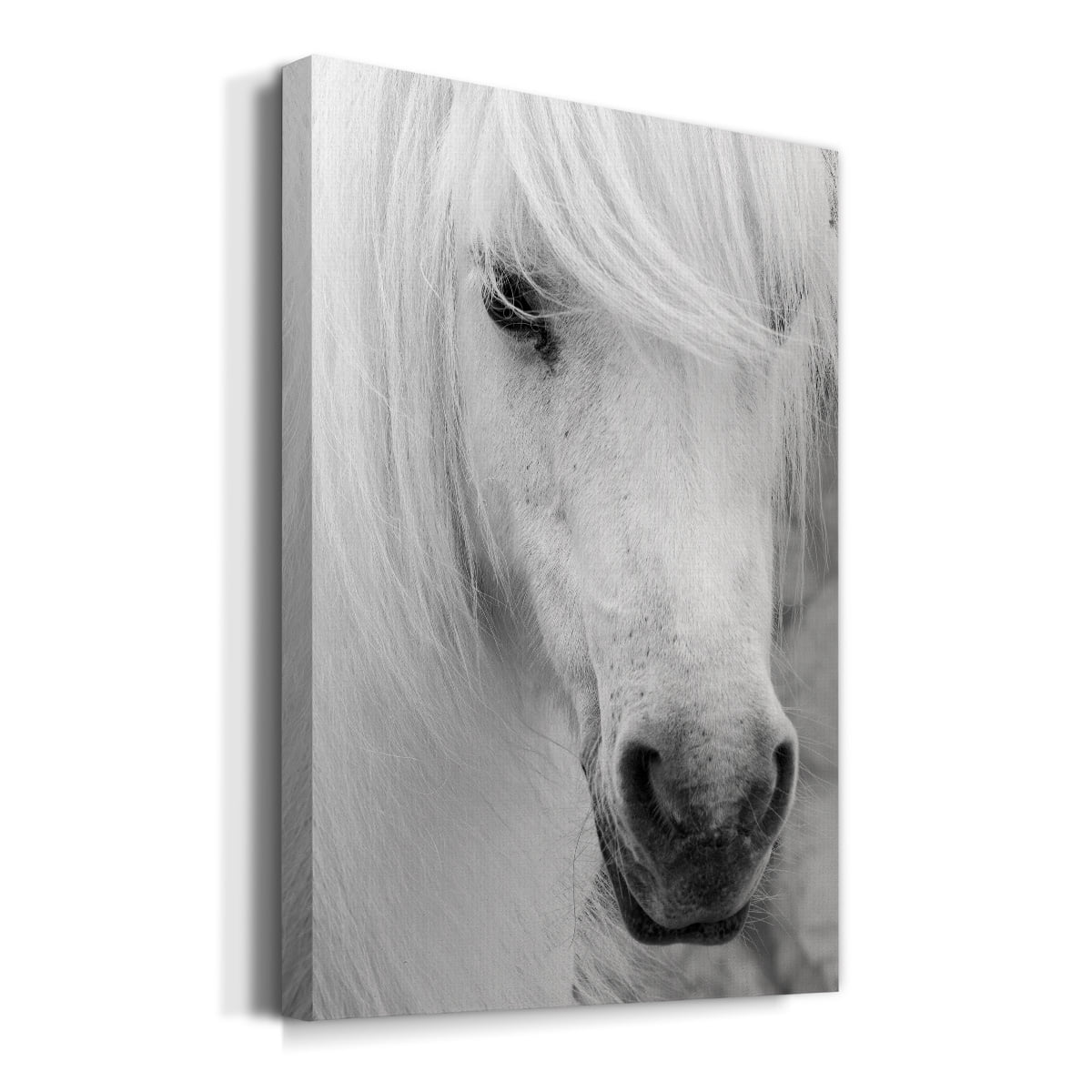 Island Pony I Premium Gallery Wrapped Canvas - Ready to Hang