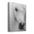 thumbnail image 2 of Island Pony I Premium Gallery Wrapped Canvas - Ready to Hang, 2 of 9