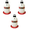 thumbnail image 2 of Little Giant PPF7 7 Gallon Automatic Poultry Waterer for Chickens, Red (3 Pack), 2 of 2