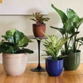 thumbnail image 5 of Bloem Canyon 8" Indoor Metal Cachepot - Glossy Decorative Planter with Powder-Coated Finish, Removable Drain Plug, Terra Cotta, 5 of 5