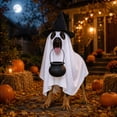 thumbnail image 5 of Roiihwy Halloween Dog Costumes, Ghost Cute Party Halloween Costumes Trick or Treat Party Cosplay White Ghost Costume for Dog Cat, 5 of 7