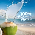 thumbnail image 4 of Jans Coconut Water with Pulp, 16.57 fl oz (Pack of 3) | 100% Pure, Unsweetened, Non-GMO, Not from Concentrate | Tropical Refreshment, 4 of 7