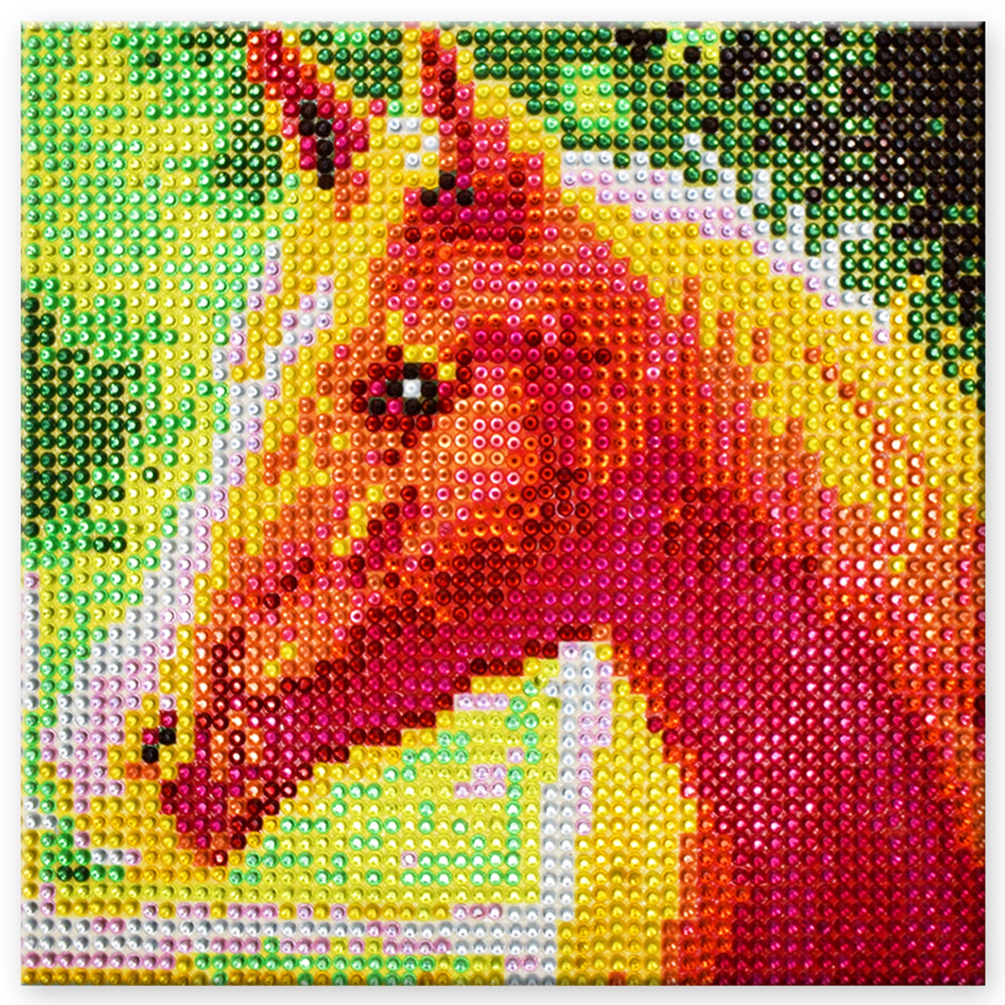 Homeford Horse Diamond Gem Painting Kit, 65/16inch