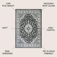 thumbnail image 3 of JONATHAN Y MODERN PERSIAN 8 x 10 Area Rug, Palmette Floral - Cream/Gray/Black, MDP503B-8, 3 of 12