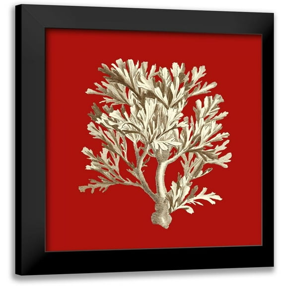 Vision Studio 12x12 Black Modern Framed Museum Art Print Titled - Small Coral on Red IV