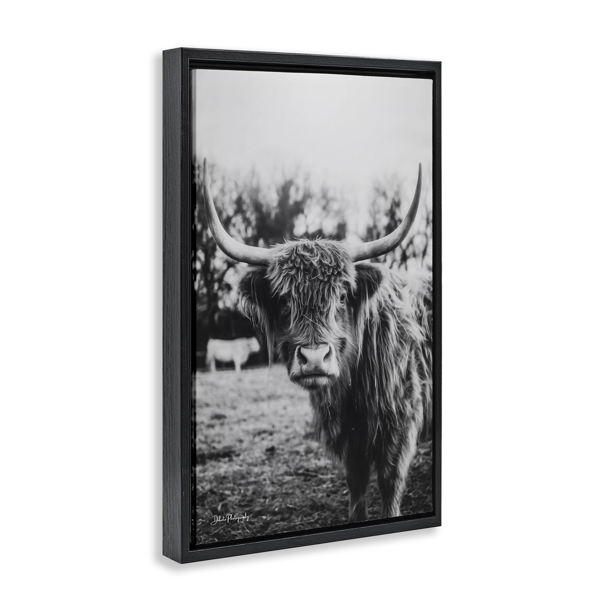 Stupell Industries Peering Highland Cattle Black Framed Floater Canvas Wall Art, design by Dakota Diener