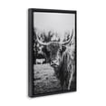 thumbnail image 2 of Stupell Industries Farmhouse Peering Highland Cattle Black Floating Frame Canvas Art, 17 x 25, by Dakota Diener, 2 of 8
