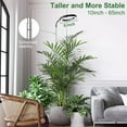 thumbnail image 4 of Grow Lights for Indoor Plants Full Spectrum, 80 LEDs 3 Colors Grow Light, 65in Plant Lights for Indoor Growing with 360°Gooseneck, 6/12/16H Timer, 5 Brightness, Height Adjustable, White Pair, 4 of 14