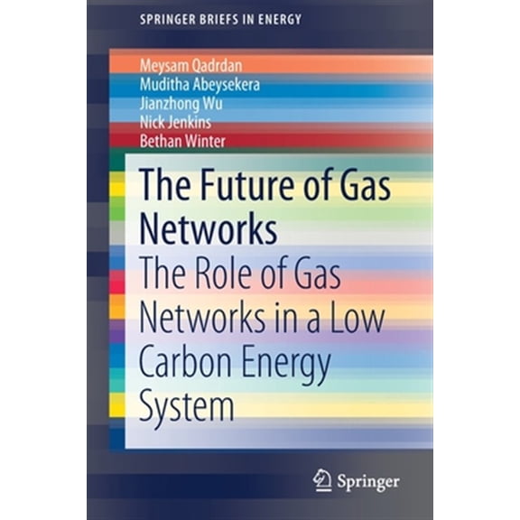 Pre-Owned Springerbriefs in Energy: The Future of Gas Networks (Paperback)