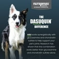 thumbnail image 6 of Nutramax Dasuquin for Small to Medium Dogs, Joint Health Supplement, Contains Glucosamine for Dogs, Plus Chondroitin, ASU, MSM and More, Supports Healthy Joints, Soft Chews, 84 Count, 6 of 11
