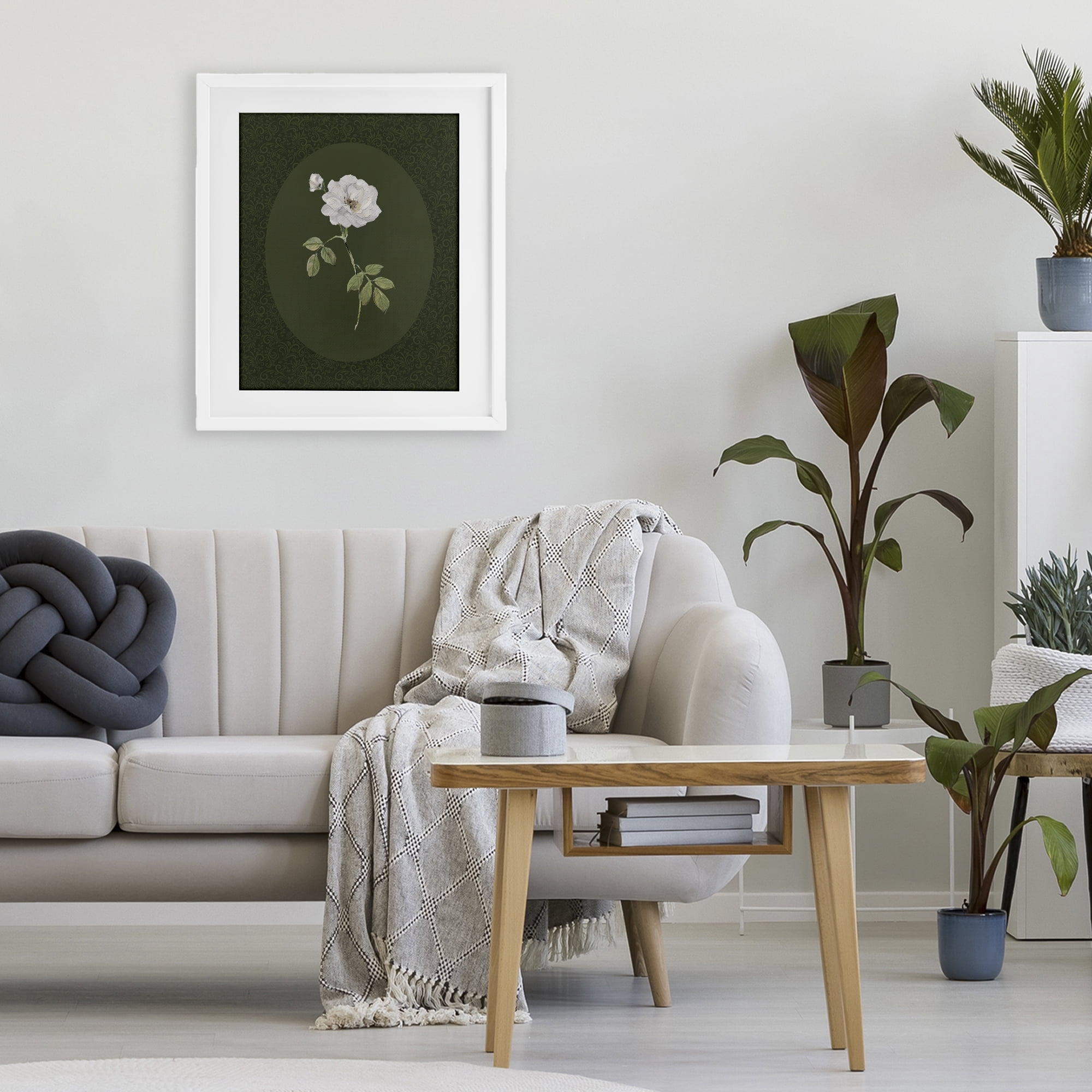 Stupell Industries White Rose on Emerald White Framed Print Under Glass, design by Sally Swatland