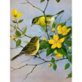 thumbnail image 1 of Taladro diamante pintura (DE4564) 5D DIY completo pájaro charlando punto de cruz bordado 40x50cm FLhrweasw Nuevo, 1 of 1