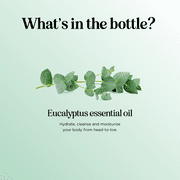 Maple Holistics Eucalyptus Essential Oil for Aromatherapy, 1 Fl Oz