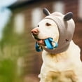 thumbnail image 3 of Orejas silenciosas para perros, gorro de punto para mascotas de invierno, cubierta para orejas de perro, disfraz de conejito para perros medianos a grandes, gatos y mascotas (Beige), 3 of 5