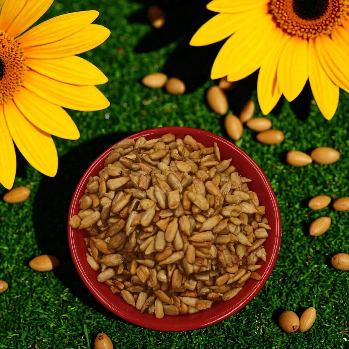 Fasig’s Coffee Roasted & Salted Sunflower Seeds, 4 lbs, Allergen Free