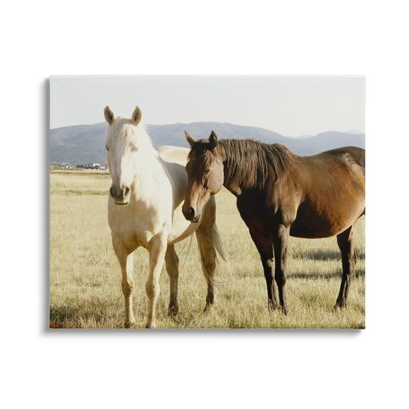 Stupell Rural Horses Animal Nature Photography Animals & Insects Photography Gallery Wrapped Canvas Print Wall Art