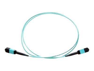 Axiom AX - Câble Réseau - MPO Multimode (m) vers MPO Multimode (m) - 30 m - Fibre Optique - 50 / 125 micron - OM4 - riser - aqua
