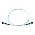 thumbnail image 1 of Axiom AX - Câble Réseau - MPO Multimode (m) vers MPO Multimode (m) - 30 m - Fibre Optique - 50 / 125 micron - OM4 - riser - aqua, 1 of 4