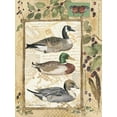 thumbnail image 2 of Phillips, Anita 15x18 White Modern Wood Framed Museum Art Print Titled - Three Ducks, 2 of 4