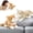 Yellow&Brown, variant on MorisMos 2Pcs Super Soft Cat Stuffed Animals, 14" Realistic Cat Plush Kitten Toys