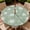 Coconut Palm, variant on ARTSLION Round Outdoor Tablecloth For Up To 36in With Umbrella Hole & Zipper Waterproof Elastic Edge Fitted Table Cover Big Sunflower For Patio Picnic Party, Explorer Theme