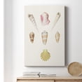 thumbnail image 6 of Pastel Knorr Shells I Premium Gallery Wrapped Canvas - Ready to Hang, 6 of 9