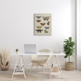 thumbnail image 2 of Stupell Industries Vintage Butterfly Study over Muted Cursive Script Animals & Insects Painting Gallery Wrapped Canvas Print Wall Art, 24 x 30, 2 of 6