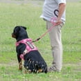 thumbnail image 3 of Arnés táctico para perros Beebiepet Heavy Duty para perros grandes, 3 of 5