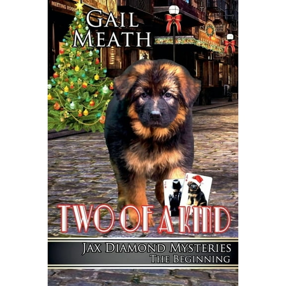 Jax Diamond Mysteries Two of a Kind - The Beginning, Book 4, (Paperback)